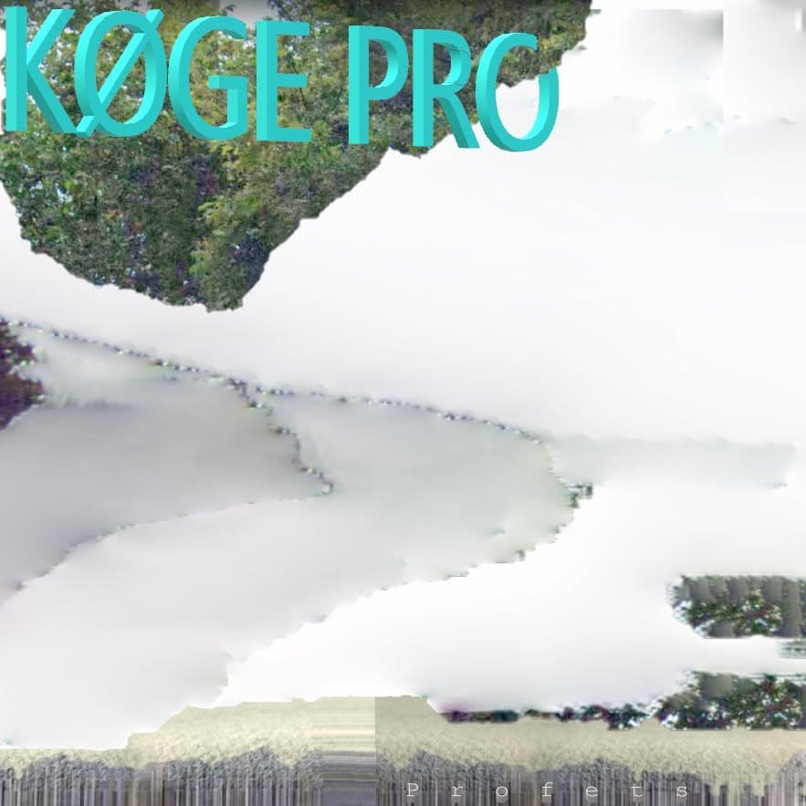 Køge Pro