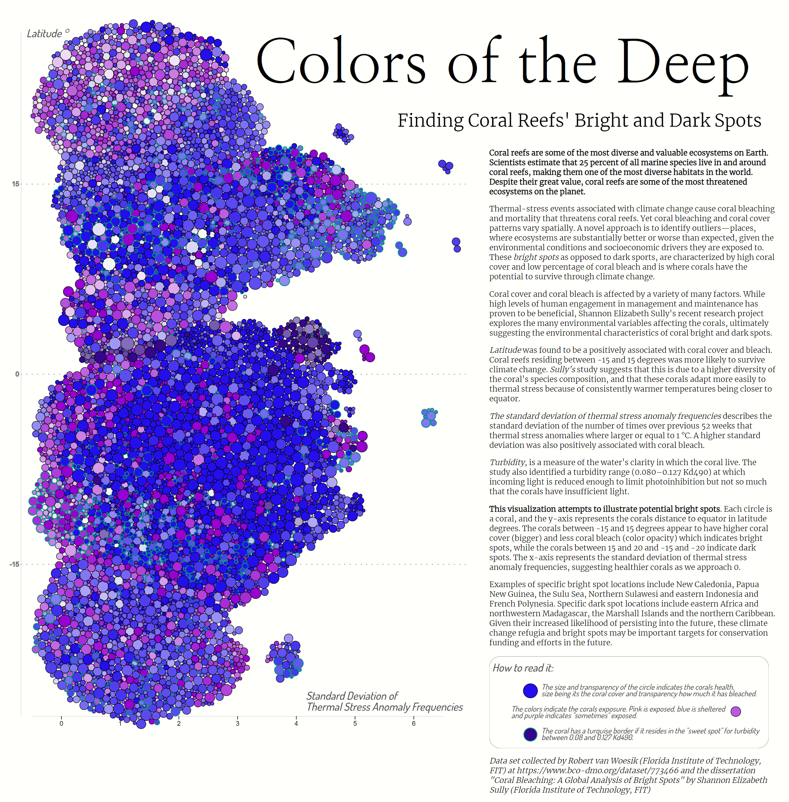 Colors of the Deep — coral reef data visualization poster